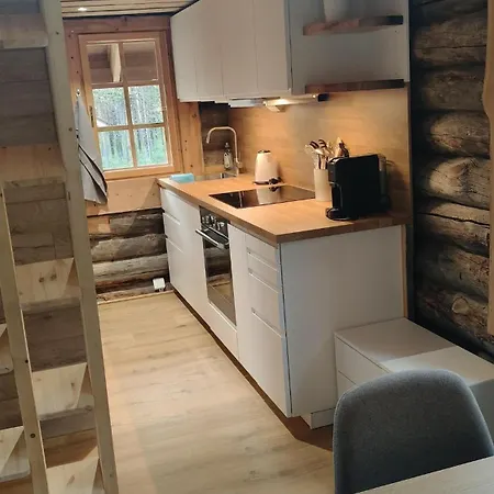 Σπίτι διακοπών Norcota- Blockhaus Mit Auroraskylight Inari