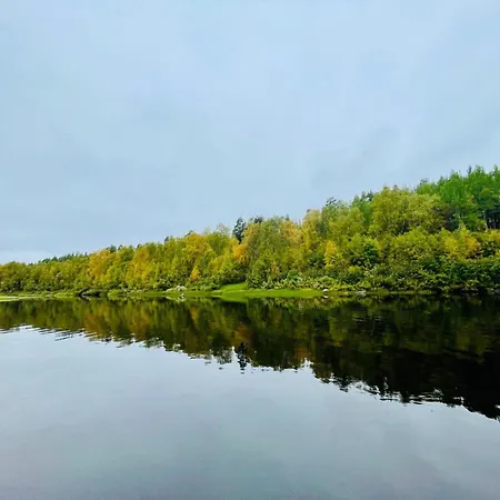 Norcota- Blockhaus Mit Auroraskylight