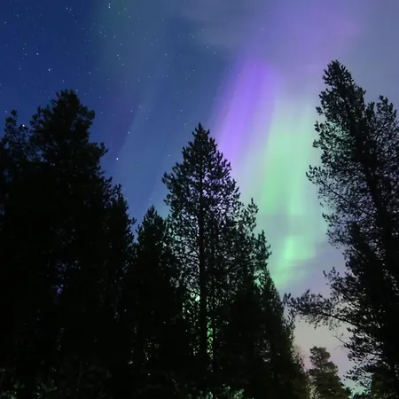 Norcota- Blockhaus Mit Auroraskylight