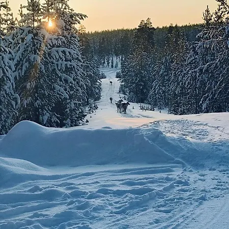 Nyaraló Norcota- Blockhaus Mit Auroraskylight