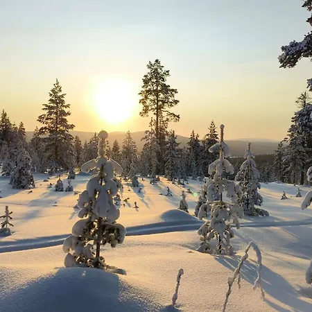 Norcota- Blockhaus Mit Auroraskylight
