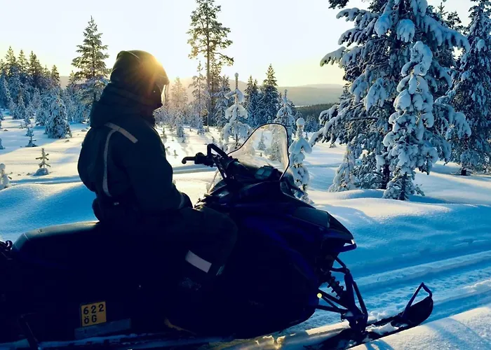 Norcota- Blockhaus Mit Auroraskylight
