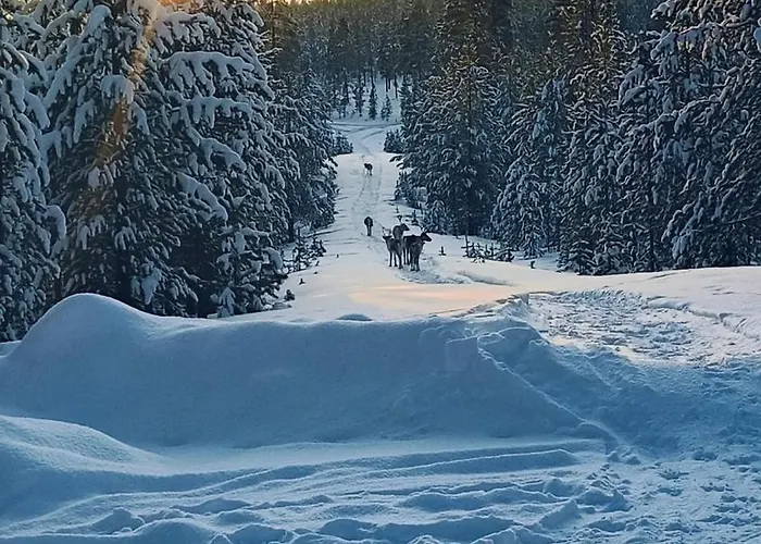 Дом отдыха Norcota- Blockhaus Mit Auroraskylight