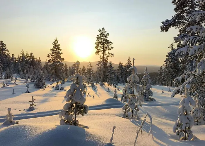 Norcota- Blockhaus Mit Auroraskylight